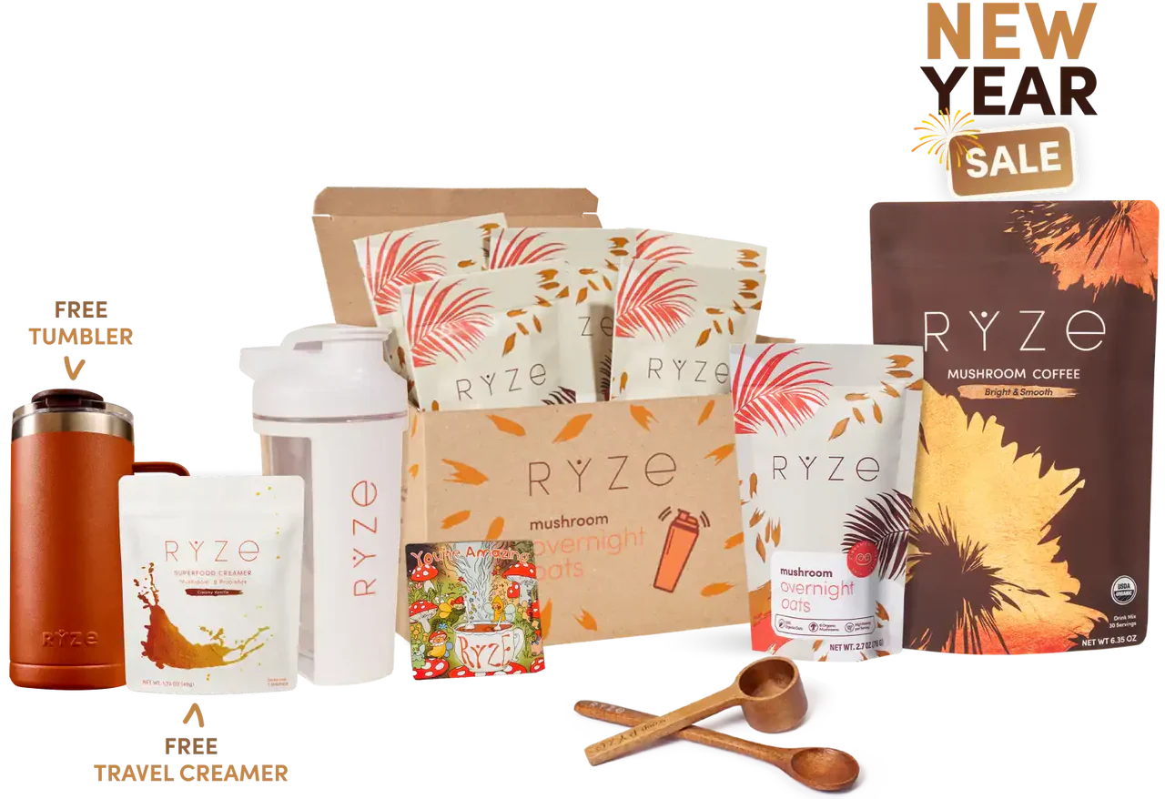 Morning Ritual Cozy 47