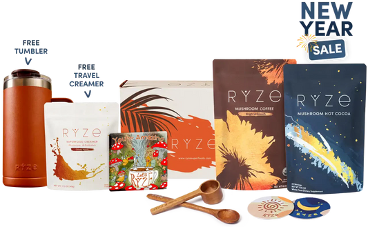 Day + Night Bundle Fresh 85