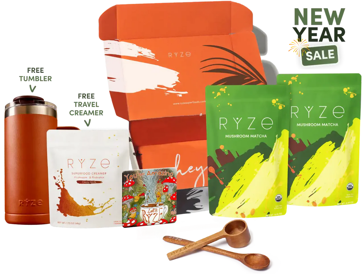 Starter Kit Balanced 20