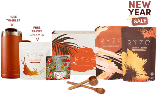 Lasting Energy Bundle Cozy 91