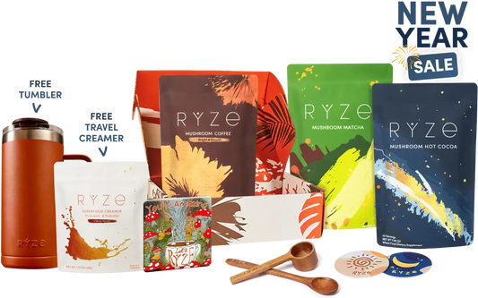 Ultimate Day + Night Bundle Smooth 17